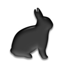 hase bunny symbol