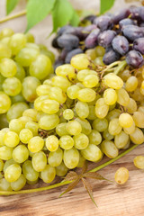fresh grapes