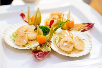 Scallops on banquet table