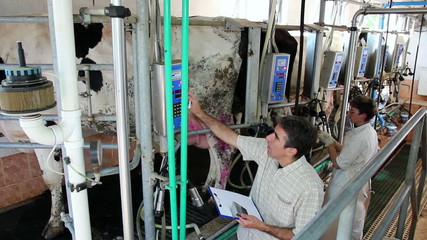 Dairy Business Management