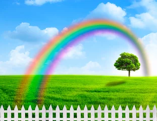 Fotobehang Regenboog. Abstracte natuurlijke achtergronden met regenboog © Dmytro Tolokonov