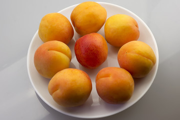 Apricots