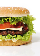 Fantastic hamburger
