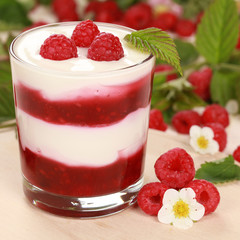Joghurt mit Himbeeren