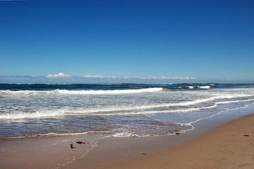 Coastal view in Northumberland