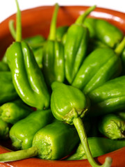 pimientos de padron