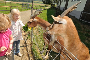 Ferien auf dem Bauernhof