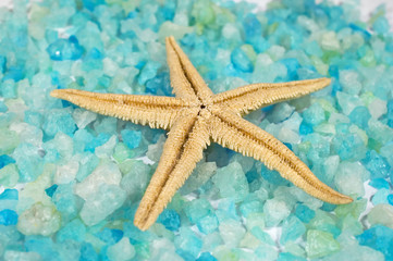 Fototapeta na wymiar Starfish and salt