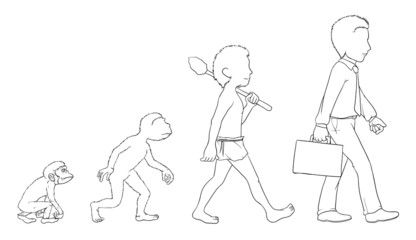 Evolution outline
