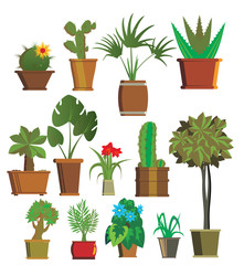 Vector room plants