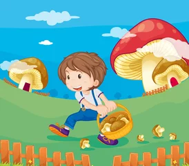 Wall murals Magic World Mushrooms