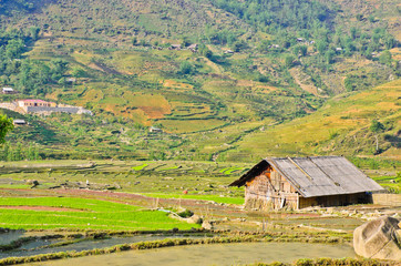 Wooden house in rice crops in Sapa, Vietnam