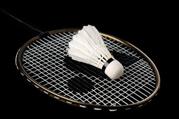 Badminton racket and shuttlecock