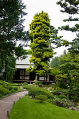 Albert Khan - japanese garden