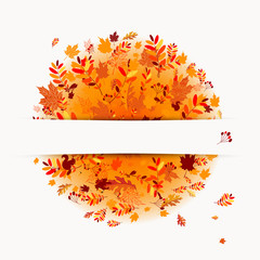 Autumn banner with place for your text