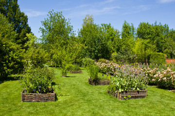Herbs garden