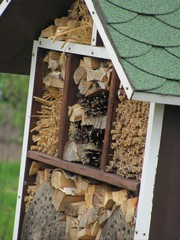 Insektenhotel