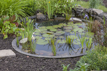 garden decoration in a cottage garden, pond with water-lily