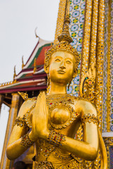 Female Golden Guardian Angel