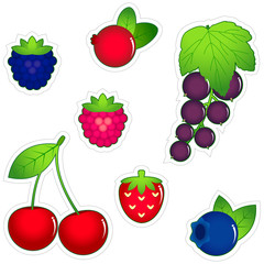 berries icon set