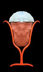 ice latte coffee  in glass