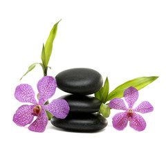 Beautiful orchid flower and balanced stones