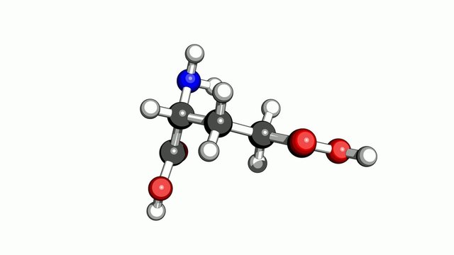 Amino acid glutamic acid molecular structure on white background