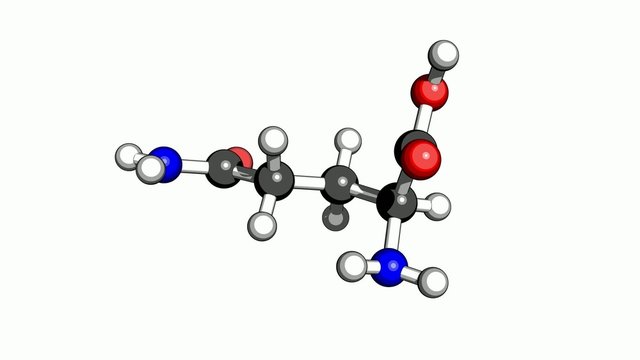 Amino acid glutamine molecular structure on a white background