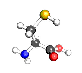 Amino acid cysteine molecular structure on a white background