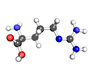 Amino acid arginine molecular structure on a white background