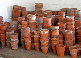 A Collection of Vintage Terracotta Flower Pots.