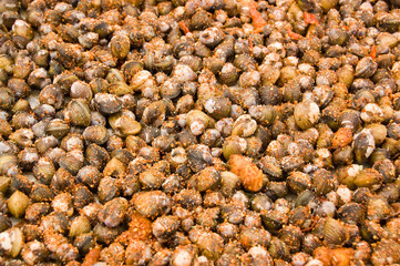 Spicy Clams on Market Stall, Cambodia