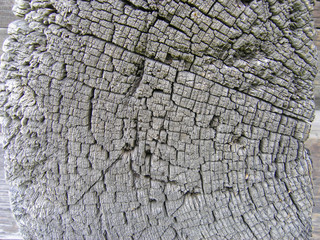 very old beams