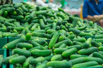 Variety of small cucumbers in boxes in supermarket