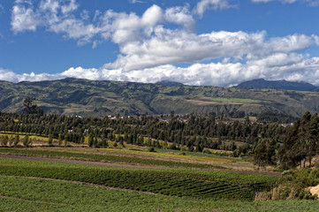 Fototapeta na wymiar Rolnictwo w andyjskich wyżyn