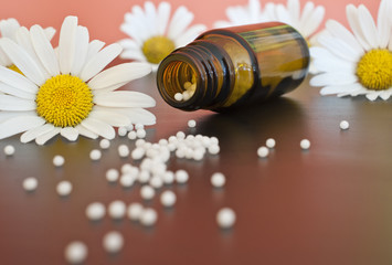 Homöopathische Globuli mit Kamillenblüten vor rotem Hintergrund