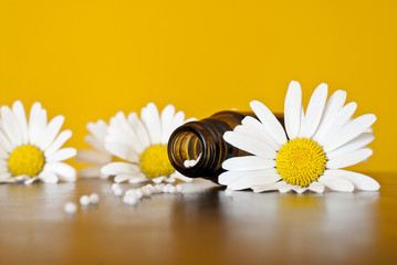Homöopathische Globuli mit Kamillen vor gelbem Hintergrund