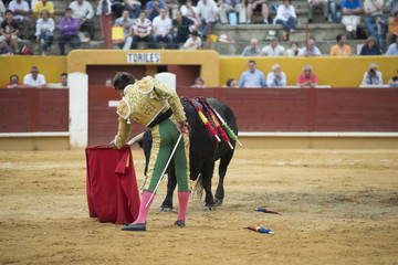 Torero sosteniendo la muleta con la mano izquierda.