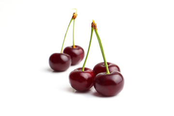cherry