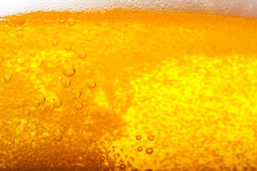 Air bubbles in beer.