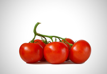Fresh tomatoes isolated