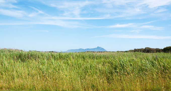 prato verde  con sfondo di San felice circeo Latina