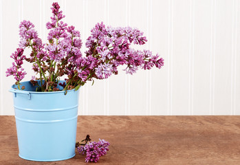 Purple lilac in a blue bucket
