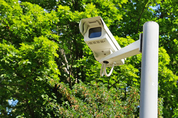 Observation camera on a column against green branches