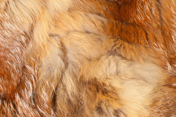 fur