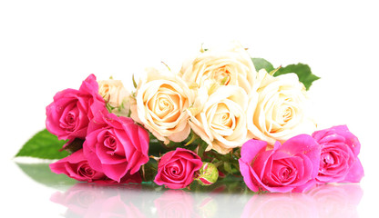 White and pink roses isolated on white