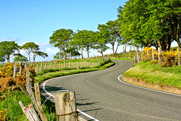 Rural empty road in Springtime