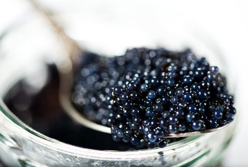 Black caviar - obrazy, fototapety, plakaty