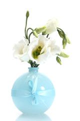 beautiful spring flowers in vase isolated on white