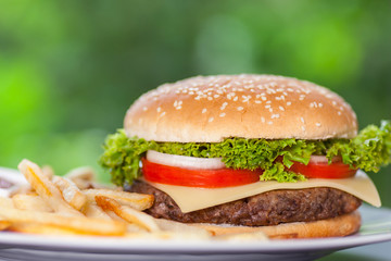 Burger mit Pommes Frites